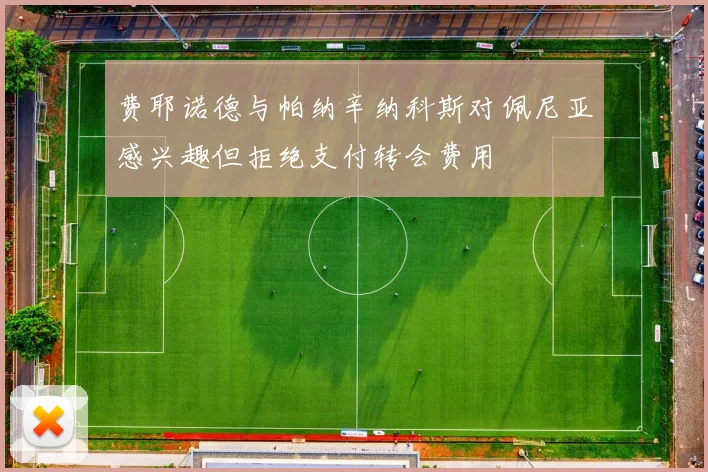 费耶诺德与帕纳辛纳科斯对佩尼亚感兴趣但拒绝支付转会费用